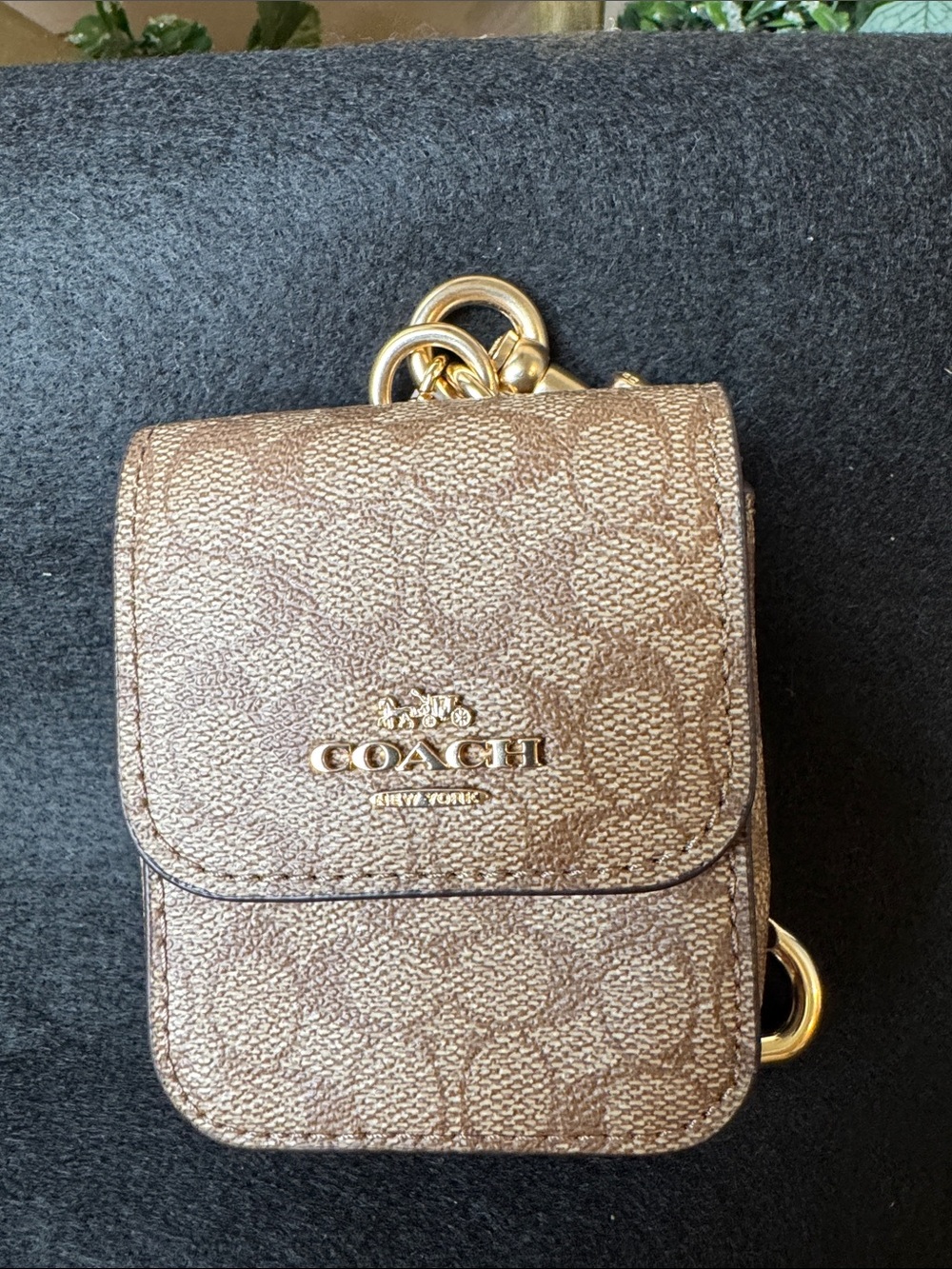 Coach Metallic Bronze Signature Mini Crossbody Pouch